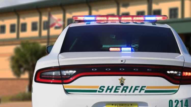 4-year-old critically injured after gun fires off inside vehicle in Bartow: deputies — WTSP 10 Tampa Bay, Edinburg Community news