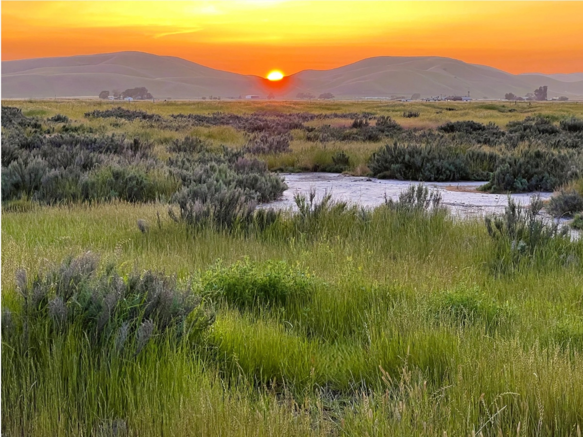 331 Acres Of Tri-Valley Wildlife Habitat, Open Space Permanently Protected — Danville Patch, Edinburg Community news