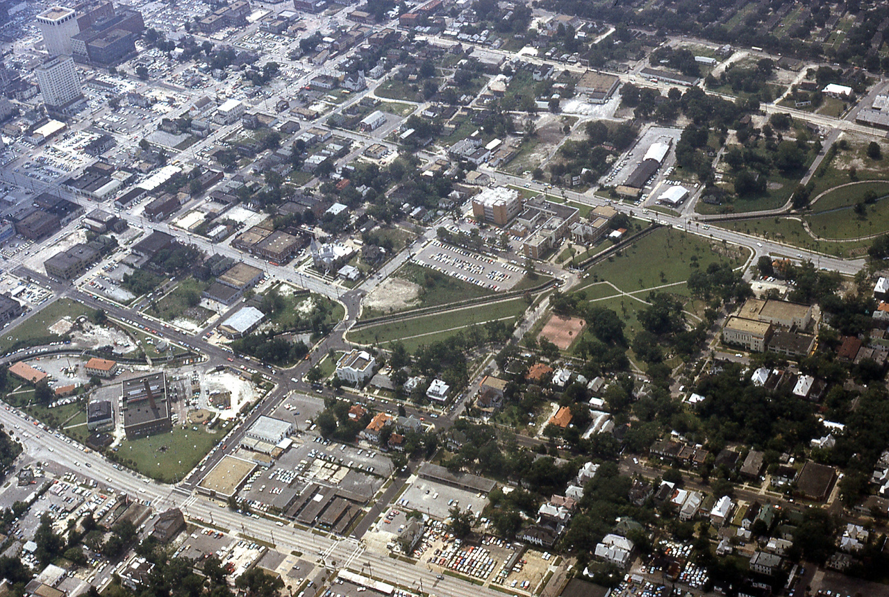 THE JAXSON | The oak tree that remembers Black Bottom — Jacksonville Today, Edinburg Schools news